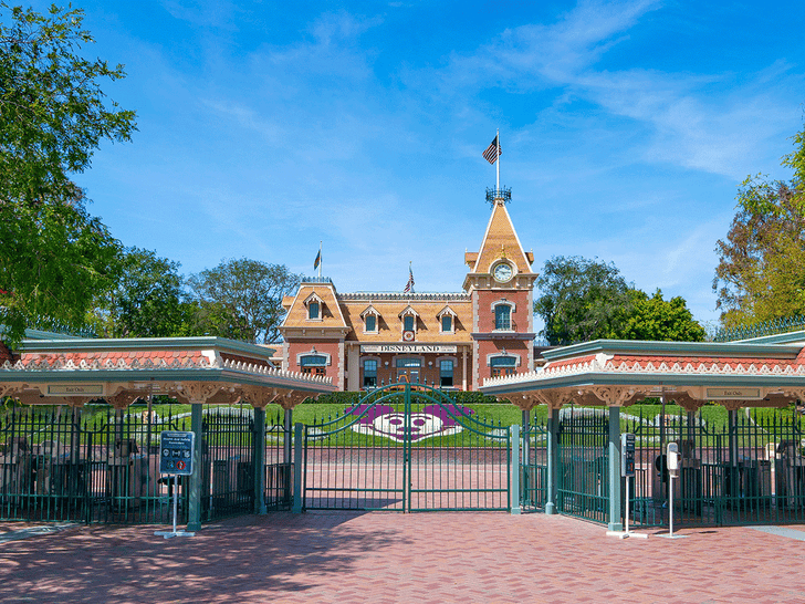 Inside Disneyland