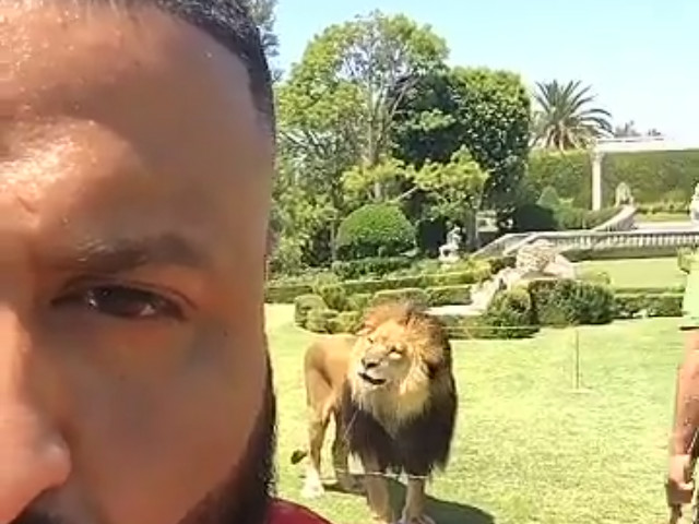 DJ Khaled Poses With Lion For "Major Key" Album Shoot | HipHopDX