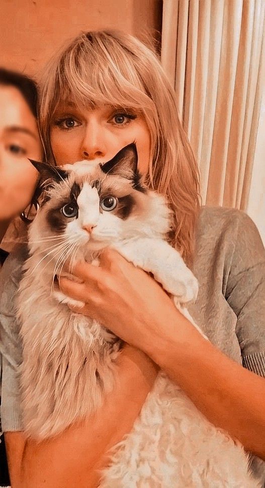 Taylor Swift's Cats: All About Meredith Grey, Olivia Benson, 50% OFF