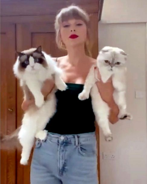 Taylor Swift admits she's a proud 'cat lady' in hilarious new TikTok - Good  Morning America