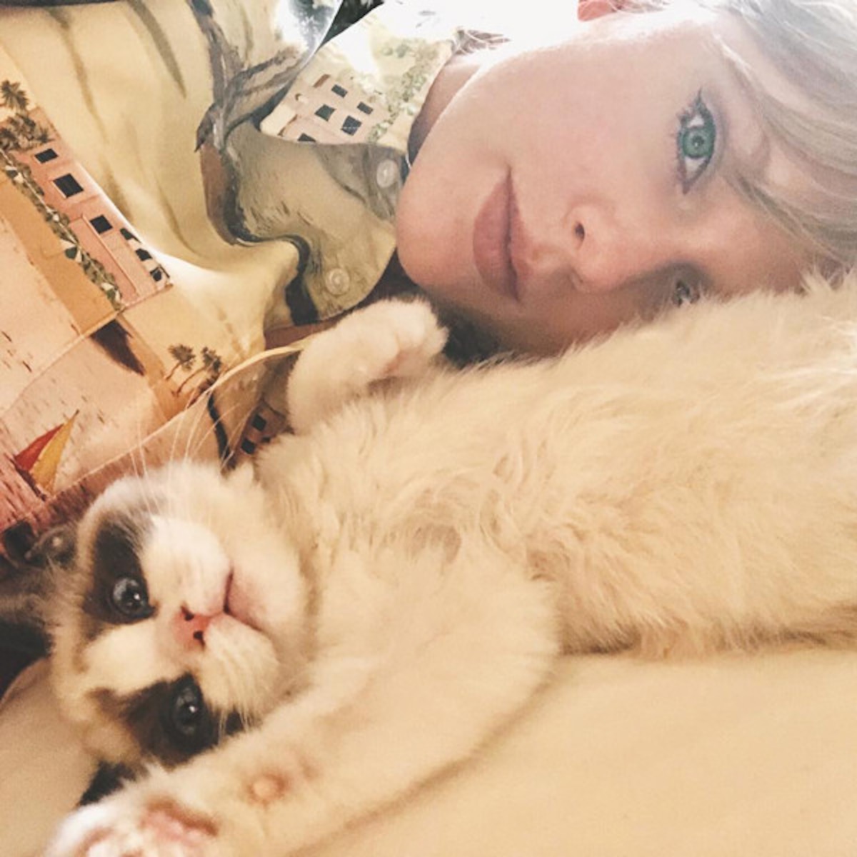 Inside the Glamorous Life of Taylor Swift's Cats