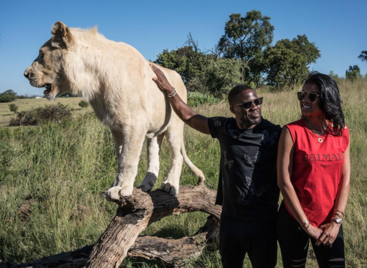 Kevin Hart Gets Up Close and Personal With the King of the Jungle