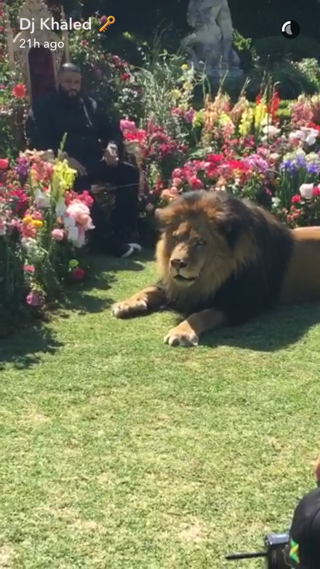 DJ Khaled Poses With Lion For "Major Key" Album Shoot | HipHopDX